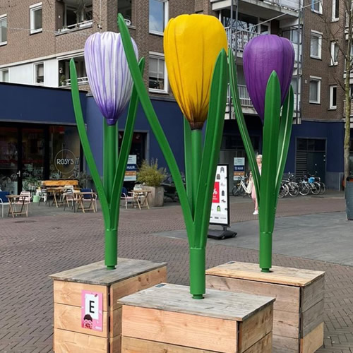 Blowup krokus