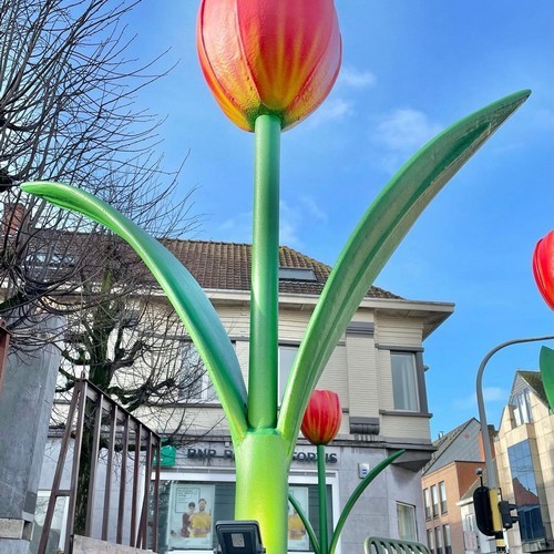 Blowup tulp
